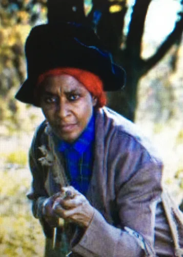 Harriet Tubman, county fairs focus of 2 events at museum